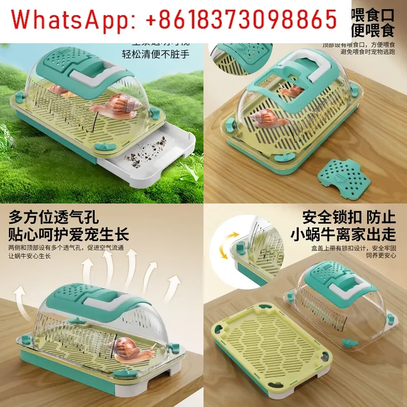Outdoor Adventure Experiences - 1 stks Outdoor Adventure Insect Box
